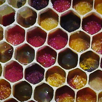 Pain d'abeille