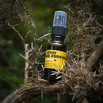 Teinture Propolis en spray