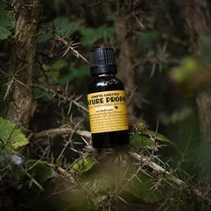 Teinture Propolis