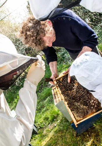 Visite pédagogique au centre de la ruche